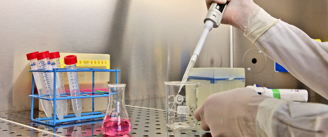 Basic sciences