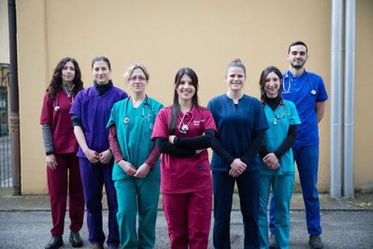 Al via all'Alma Mater il primo corso in Medicina Veterinaria interamente in inglese