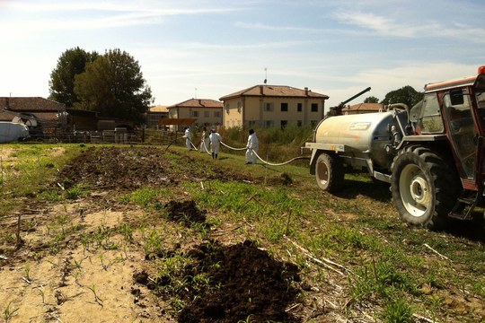 Cinquant'anni di AUB, un premio per le quattro migliori tesi di DISTAL e DIMEVET