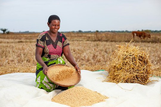 One Health Europe–Africa: un Summit per sistemi agroalimentari più sicuri e sostenibili in Africa One Health Europe–Africa: un Summit per sistemi agroalimentari più sicuri e sostenibili in Africa